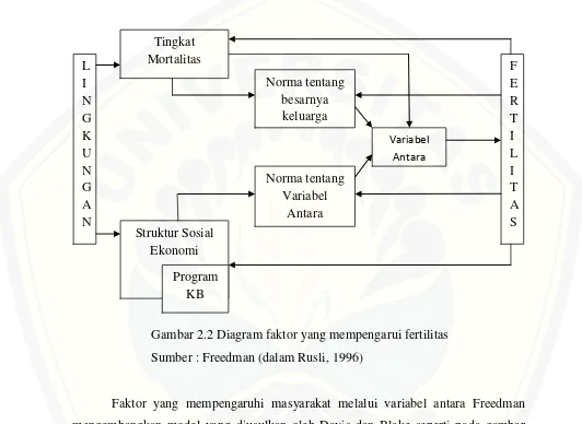 Gambar 2.2 Diagram faktor yang mempengarui fertilitas 