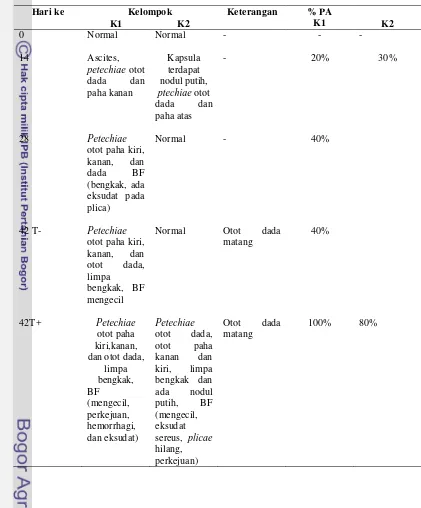 Tabel 4 Gambaran patologi anatomi pada berbagai tingkat umur 