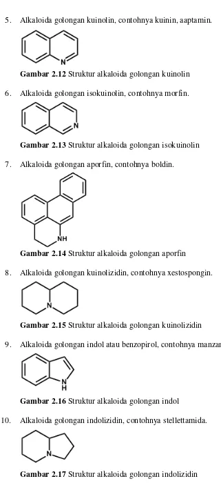 Gambar 2.17 Struktur alkaloida golongan indolizidin 