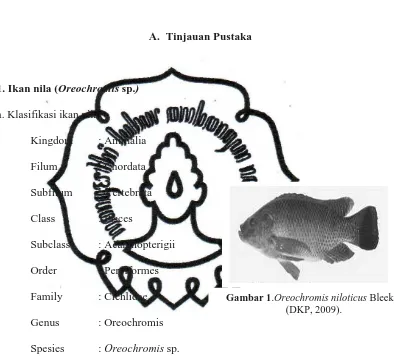Gambar 1.Oreochromis niloticus Bleeker (DKP, 2009). 