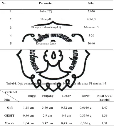 Tabel 4. Data pengamatan karakter morfologi benih ikan nila umur P1 ukuran 1-3 
