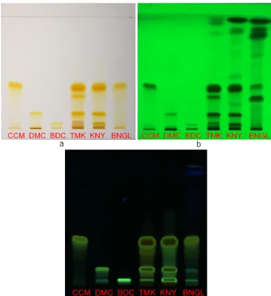 Fig 1. TLC fingerprints of turmeric, java turmeric andcassumunar ginger with visualization on visible light(a), UV 254 nm (b), and UV 366 nm (c)