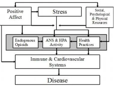 Fig. 1. Indirect influences of positive effect on the health model. 