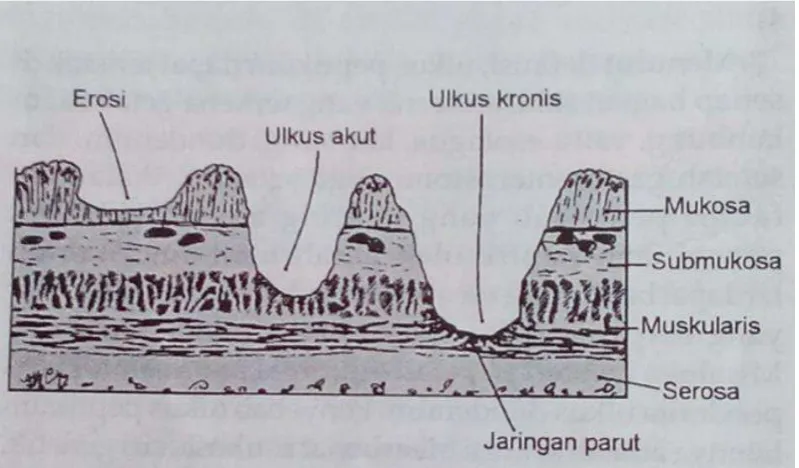 gambar dibawah ini 