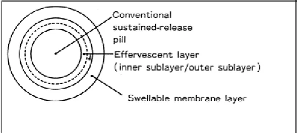 Gambar 2.3 Unit tunggal sistem Effervescent FDDS