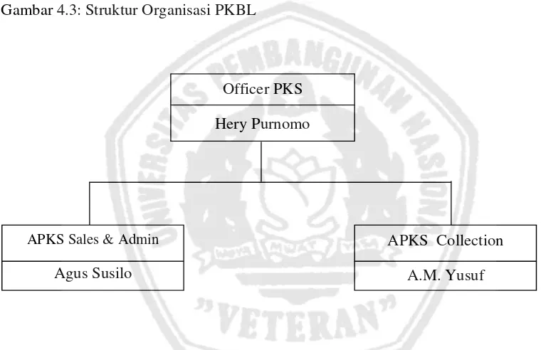 Gambar 4.3: Struktur Organisasi PKBL  