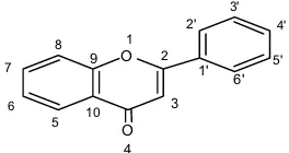 Gambar 1. Stuktur Flavonoid