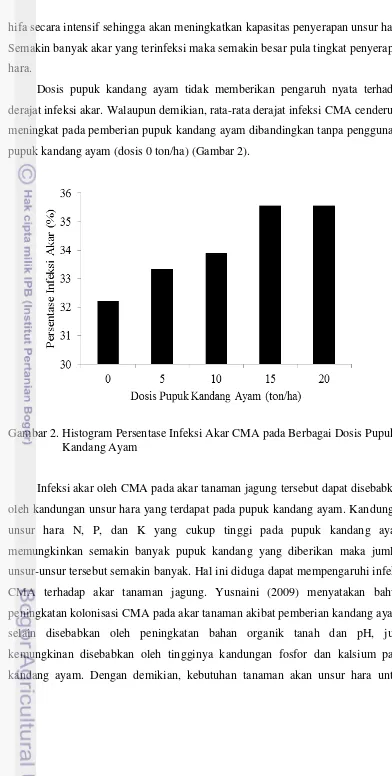Gambar 2. Histogram Persentase Infeksi Akar CMA pada Berbagai Dosis Pupuk  