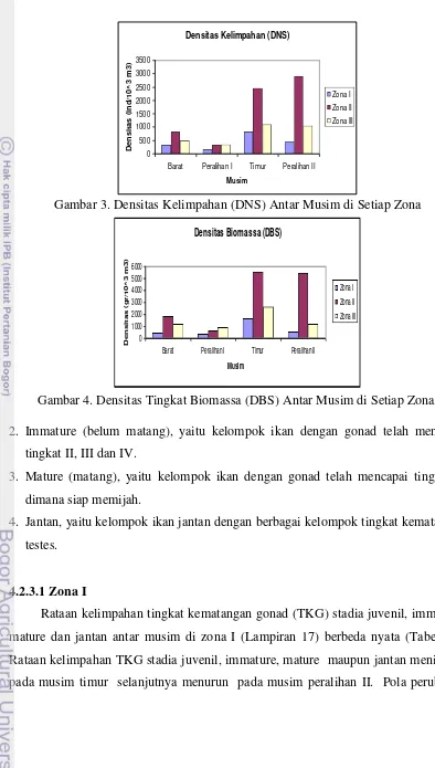 Gambar 3. Densitas Kelimpahan (DNS) Antar Musim di Setiap Zona 