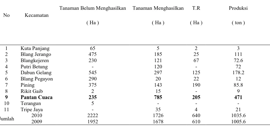Tabel 4 Luas Usaha dan Produksi Komoditi Kopi Perkebunan Rakyat di Kabupaten Gayo 