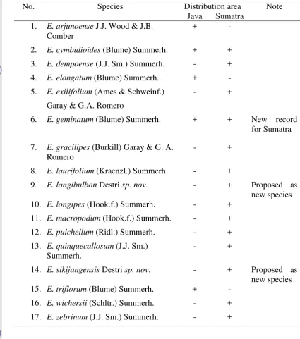 Table 1. List of Epigeneium spp. in Java and Sumatra 