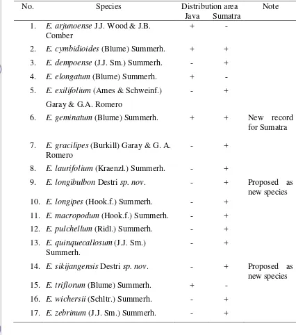 Table 1. List of Epigeneium spp. in Java and Sumatra 