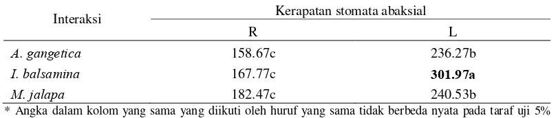 Gambar 3 Sayatan paradermal epidermis abaksial di lapangan (L) dan rumah kaca (R): (A-B) A