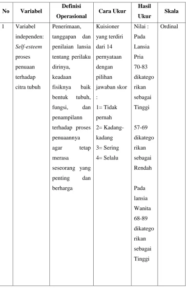 Tabel 3.3 Definisi operasional 