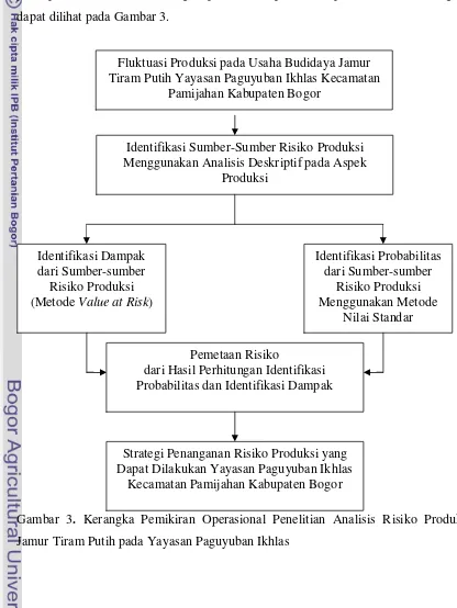 Gambar 3. Kerangka Pemikiran Operasional Penelitian Analisis Risiko Produksi        