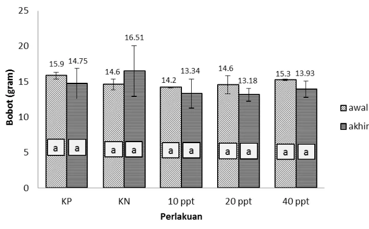 Gambar 1. Perubahan bobot ikan lele Clarias sp. pada perlakuan pemberian ekstrak lidah buaya (10 ppt, 20 ppt, 40 ppt), KN, dan KP pada awal     (  ) dan akhir percobaan (  )