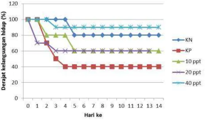 Gambar 7. Tingkat kelangsungan hidup perlakuan kontrol negatif, kontrol positif, dan pemberian ekstrak lidah buaya (10 ppt, 20 ppt, 40 ppt), selama masa perlakuan