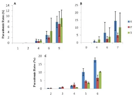 Figure 3. Average of parasitemic rates (%) in murine model:  Control (K), vaccinated with SGE from Pelet (P), and vaccinated with SGE from supernatant (S) from A