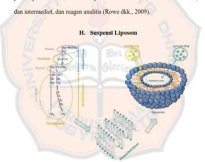 Gambar 10. Struktur liposom (Laouini, Jaafar-Maalej, Blouza, Sfar, Charcosset, dan Fessi, 2012)