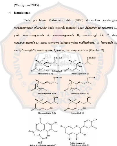 Gambar 7. Struktur kandungan senyawa daun Macaranga tanarius L. (Matsunami dkk., 2006)