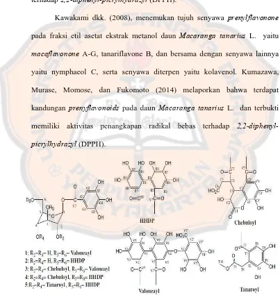 Gambar 8. Isolasi senyawa tanarius ellagitannins dari fraksi EtOAc daun Macaranga L.  : mallotinic acid (1) corilagin (2) macatannin A (3) chebulagic acid (4) dan macatannin B (5) (Gunawan-Puteri dan Kawabata, 2010) 