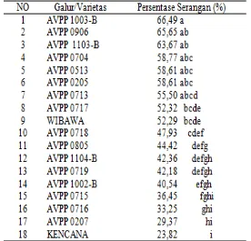 Tabel 1 Rata-rata persentase serangan hama lalat buah dari delapan kali pengamatan pada galur dan varietas tanaman cabai besar (Capsicum annum L.) 