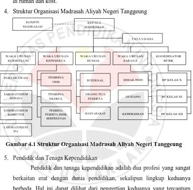 Gambar 4.1 Struktur Organisasi Madrasah Aliyah Negeri Tanggeung  