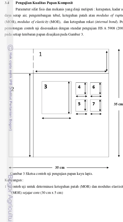 Gambar 3 Sketsa contoh uji pengujian papan kayu lapis. 