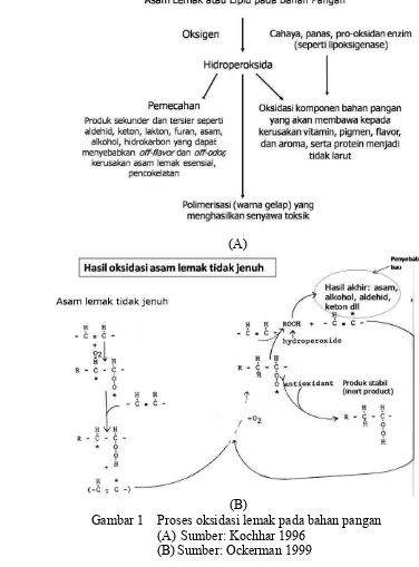 Gambar 1   Proses oksidasi lemak pada bahan pangan  