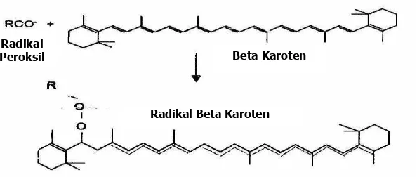 Gambar 6  Aktivitas beta-karoten sebagai antioksidan  