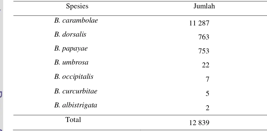 Tabel 1  Spesies lalat buah yang tertangkap di lahan penelitian 