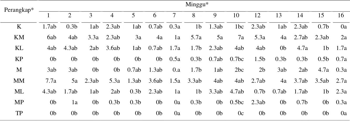 Tabel 4  Tangkapan imago B. dorsalis pada masing-masing perangkap per minggu 
