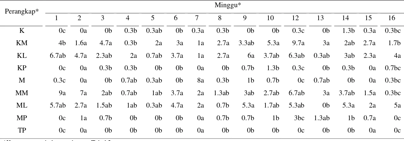Tabel 5  Tangkapan imago B. papayae pada masing-masing perangkap per minggu 