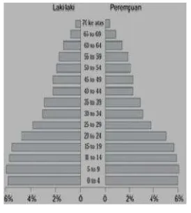 Gambar 2.5 Diagram piramida penduduk dewasa