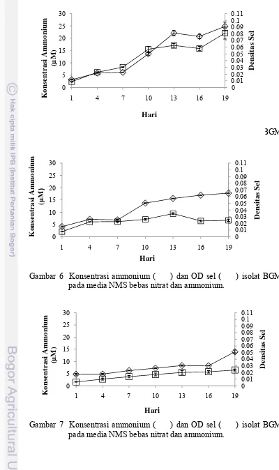 Gambar 5  Konsentrasi ammonium (     ) dan OD sel (     ) isolat BGM1 
