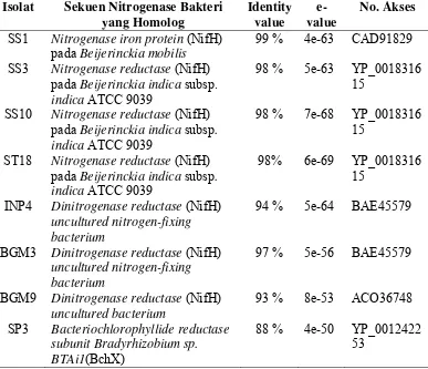 Tabel 3 Hasil analisis sekuen gen nifH dengan menggunakan program 