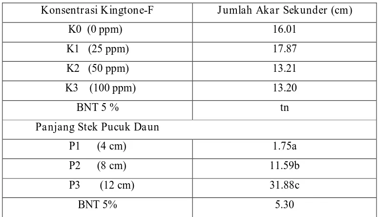Tabel 3. Pengaruh Perlakuan Panjang Stek Daun Dan Konsentrasi Kingtone-F Terhadap Jumlah Akar Sekunder Tanaman Sanseveira