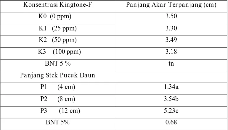 Tabel 4.  Pengaruh Perlakuan Panjang Stek Daun Dan Konsentrasi Kingtone-F Terhadap panjang akar terpanjang Tanaman Sanseveira Umur 40 Hst