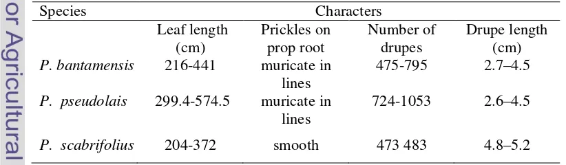 Table 4.1 Morphological characters of species recognized withinPandanus furcatus complex