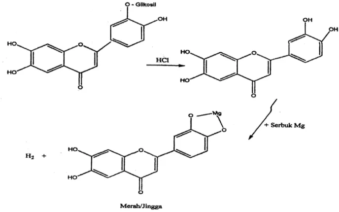Gambar 4.10 Reaksi uji flavonoid dengan HCl pekat dan serbuk Mg 