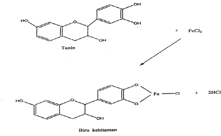 Gambar 4.11Reaksi uji tanin dengan FeCl3  ( Robinson, 1995) 