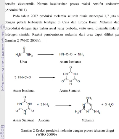 Gambar 2 (WHO 2009b): 