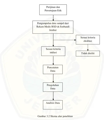 Gambar 3.2 Skema alur penelitian  