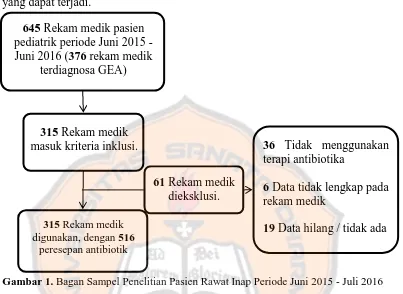 Gambar 1. Bagan Sampel Penelitian Pasien Rawat Inap Periode Juni 2015 - Juli 2016 