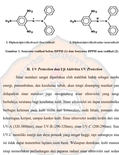 Gambar 1. Senyawa radikal bebas DPPH (1) dan Senyawa DPPH non radikal (2) 