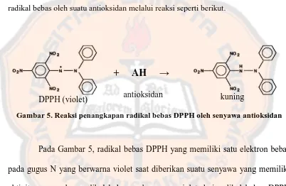 Gambar 5. Reaksi penangkapan radikal bebas DPPH oleh senyawa antioksidan 
