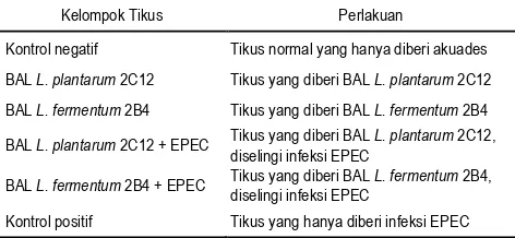 Gambar 1.  Bagan perlakuan pada tikus percobaan T0 = terminasi awal; T1 = terminasi hari ke-7; T2 = terminasi hari ke-14; 