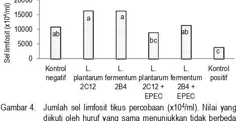 Gambar 4.  Jumlah sel limfosit tikus percobaan (x10 4/ml). Nilai yang diikuti oleh huruf yang sama menunjukkan tidak berbeda 