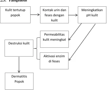 Gambar 2.1. Diagram Patogenesis Dermatitis Popok 