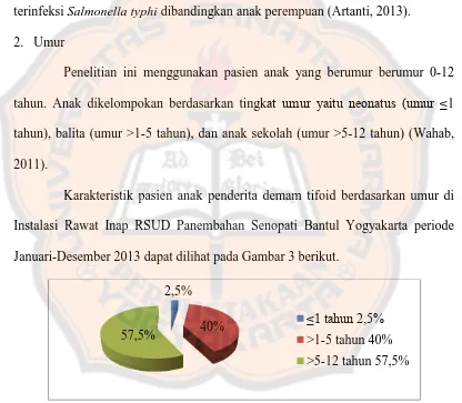 Gambar 3. Persentasi kasus demam tifoid berdasarkan umur di Instalasi Rawat  Inap RSUD Panembahan Senopati Bantul Yogyakarta periode Januari-Desember 2013 (N=40)  